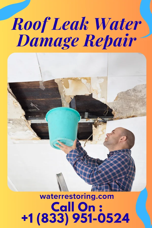 Roof Leak Water Damage Repair in Venice, NE