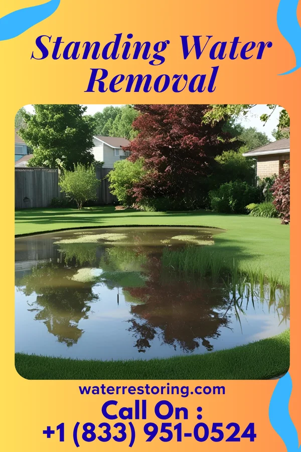 Standing Water Removal in Venice, NE